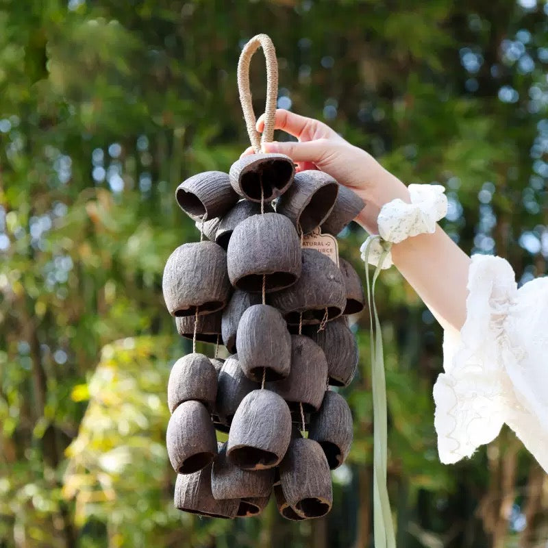 Natural Nutshell Wind Chime