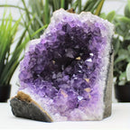 1pc Amethyst Crystal Cluster from Uruguay | Deep Purple Color Geode, Unique Specimen for Collectibles and Educational Use