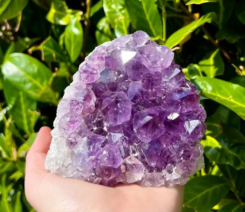 1pc Amethyst Crystal Cluster from Uruguay | Deep Purple Color Geode, Unique Specimen for Collectibles and Educational Use