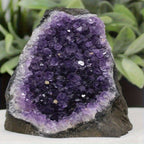 1pc Amethyst Crystal Cluster from Uruguay | Deep Purple Color Geode, Unique Specimen for Collectibles and Educational Use