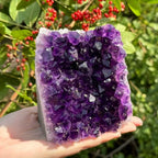 1pc Amethyst Crystal Cluster from Uruguay | Deep Purple Color Geode, Unique Specimen for Collectibles and Educational Use